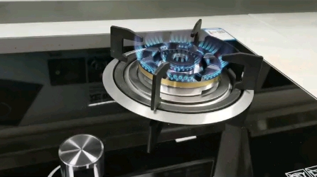 藍(lán)寶石燃?xì)庠钍酆缶S修電話4OO9020811藍(lán)寶石燃?xì)庠畈粏?dòng)