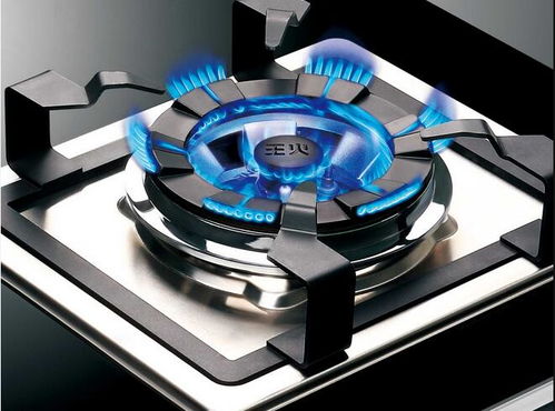 班力燃氣灶售后服務(wù)中心 班力維修熱線