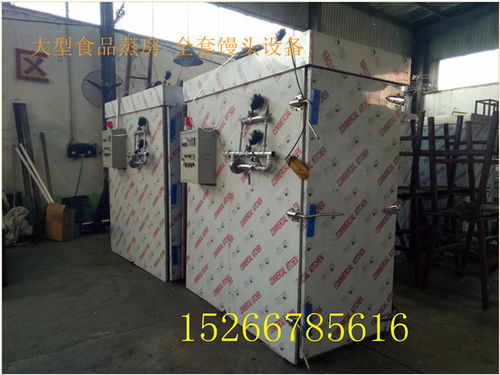 大型食品蒸房圖片大全 醒蒸一體高產(chǎn)量饅頭蒸房