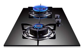 歡迎進(jìn)入 寧波伊萊克斯煤氣灶 各點(diǎn)伊萊克斯售后服務(wù)總部電話