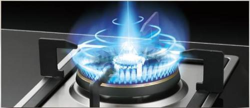 全國燃?xì)庠钍酆缶S修服務(wù) 專業(yè)保障您的生活安全